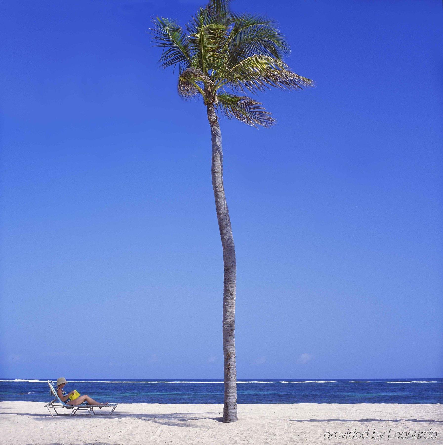 Nisbet Plantation Beach Club Newcastle Экстерьер фото