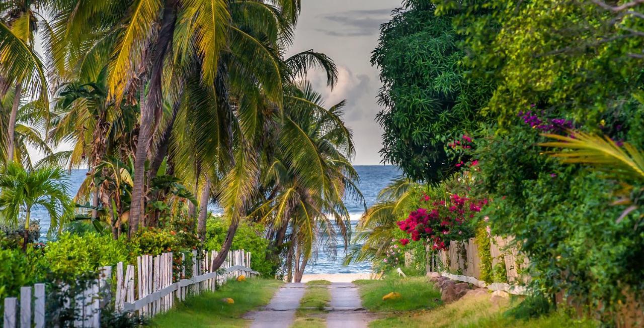Nisbet Plantation Beach Club Newcastle Экстерьер фото